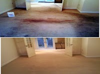 Barnsley Carpet Cleaners 360320 Image 4